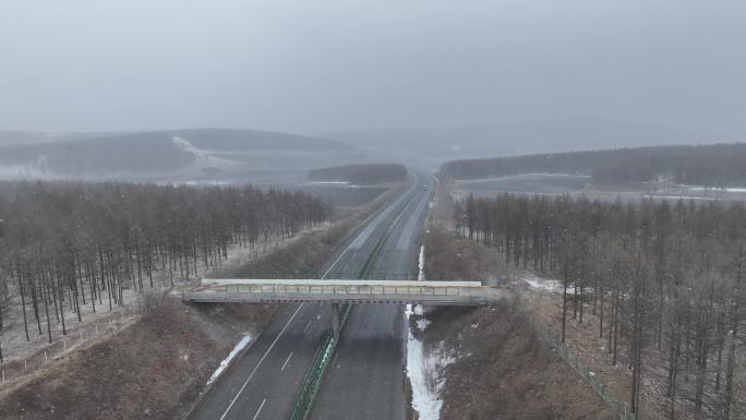 雪花飘落风吹雪路上行驶的汽车