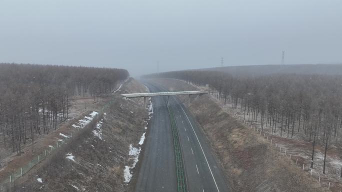 风雪中林区高速公路上行驶的汽车