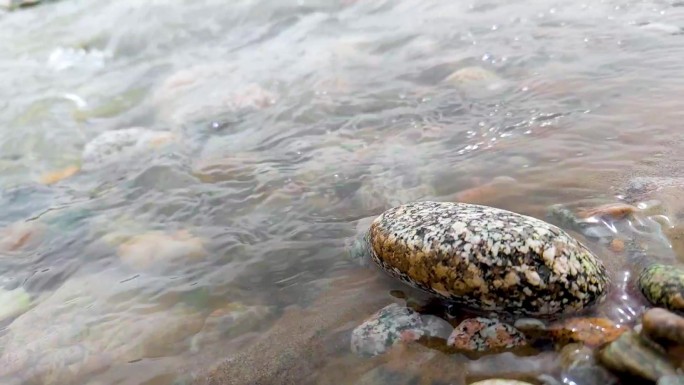 水流 慢动作小溪 鹅卵石 升格拍摄