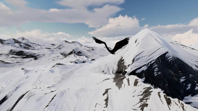 雄鹰老鹰飞过雪山山顶山峰年会开场片头大气