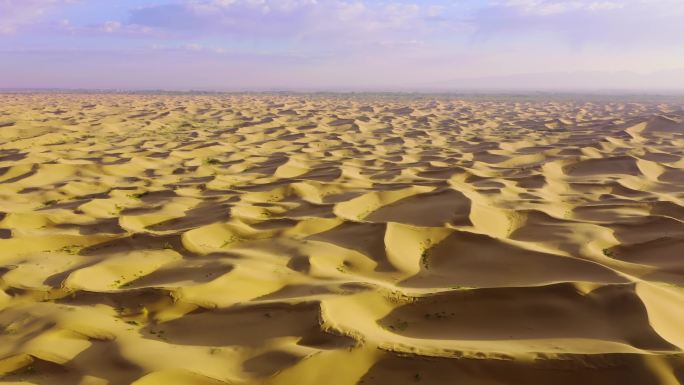 沙漠治理沙漠环境改善