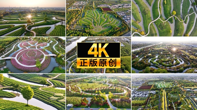 上海 金山 花开海上 生态园