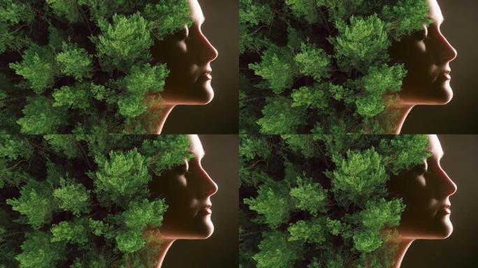 艺术肖像自然美女女人森林树叶