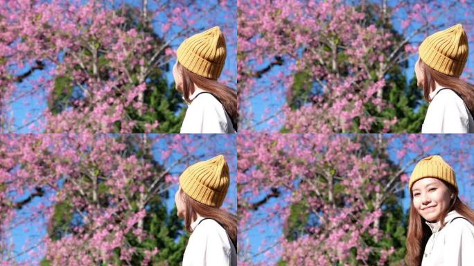一个美丽的年轻亚洲女人在花园里看着粉红色的樱花的慢动作