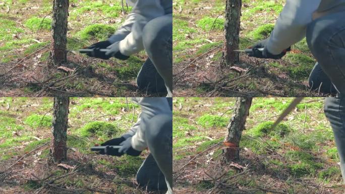 游客正在森林中锯木篝火