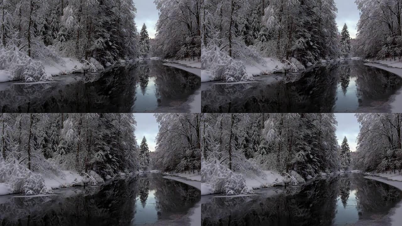 仙境。森林河岸上的积雪中的树木带有反射，保留了俄罗斯列宁格勒地区的Lindulovskaya Ros