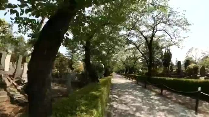 开车穿过青山公墓。东京空荡荡的街道。