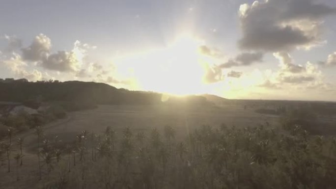 日落时，反向无人机在多岩石的加勒比海海岸和棕榈树上射击