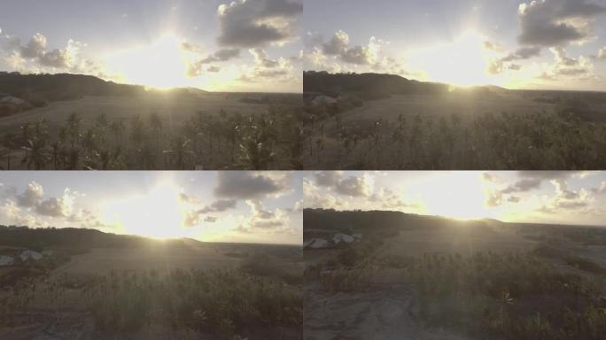 日落时，反向无人机在多岩石的加勒比海海岸和棕榈树上射击