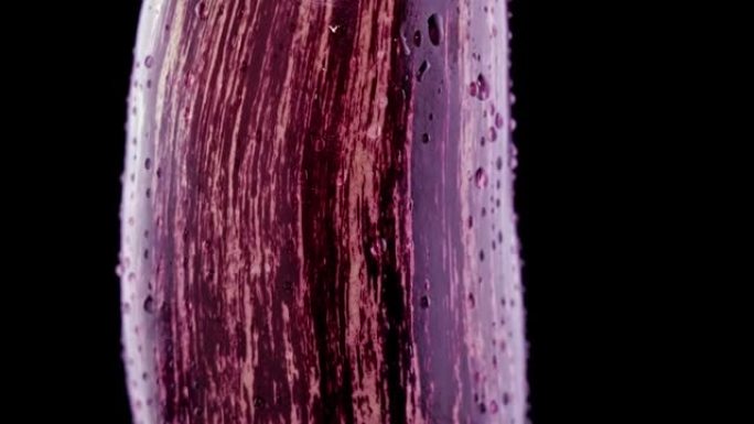 紫色条纹蛋杯在黑色背景上近距离旋转