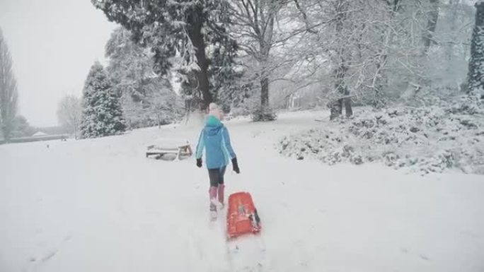 一个女孩在大雪中拉着雪橇。英国乡村的冬季乐趣