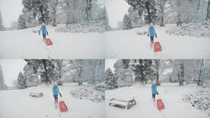 一个女孩在大雪中拉着雪橇。英国乡村的冬季乐趣