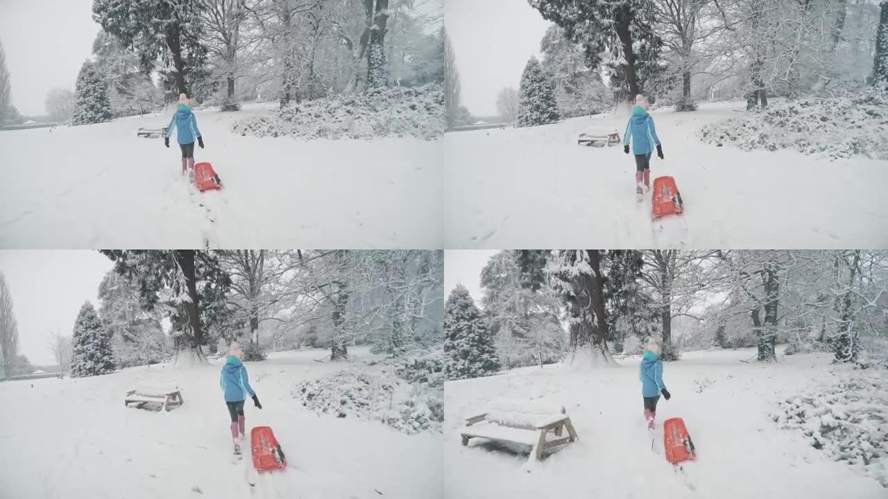 一个女孩在大雪中拉着雪橇。英国乡村的冬季乐趣