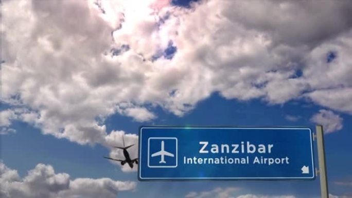 飞机降落在桑给巴尔坦桑尼亚机场
