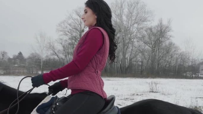 年轻的黑发女人在冬天在田野或白雪覆盖的农场骑着一匹美丽的黑马。骑马，马术运动。在雪地户外行走的骑马女