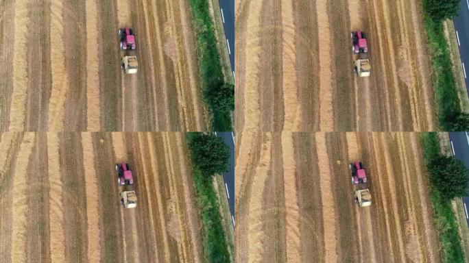 红色拖拉机，收获谷物作物在一个农业领域-无人机鸟瞰图