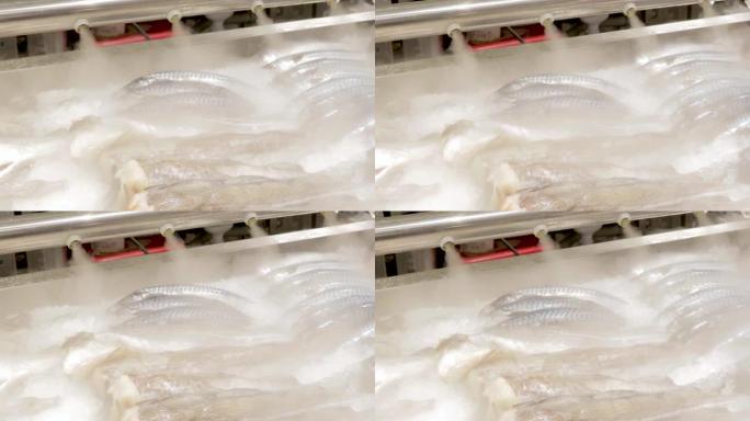 冷冻鲜鱼超市美味海运配送产品储存