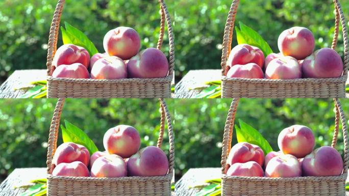 新鲜桃子配叶子特写，桃子水果放在花园里的木桌上。
