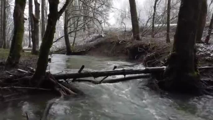 冬季无人机拍摄森林中的河流