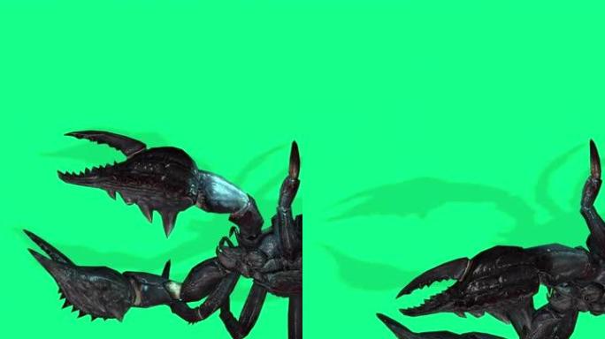 垂直视频4k动画-绿屏上咄咄逼人的森林蝎子