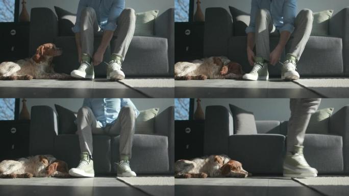 男人坐在沙发上，穿鞋离开，狗躺在他旁边的地板上