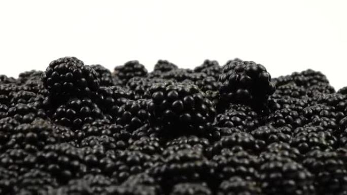 一堆新采摘的黑莓在白色背景