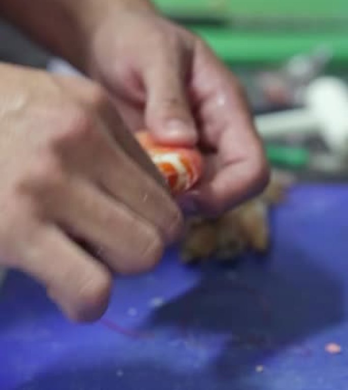 厨师从一只大龙虾上取下贝壳。垂直视频。特写。