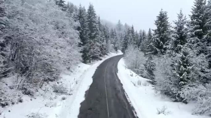 针叶林中的道路冬季雪雪席卷暴风雪航空视频喀尔巴阡山脉4k