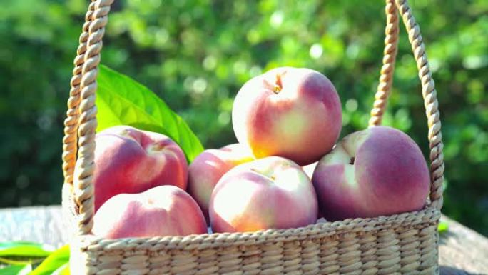 新鲜桃子配叶子特写，桃子水果放在花园里的木桌上。