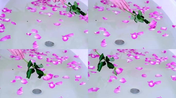玫瑰花瓣浴。豪华白色大理石浴室流水带粉色玫瑰花瓣的浴缸。在酒店度过浪漫的周末。高质量全高清镜头
