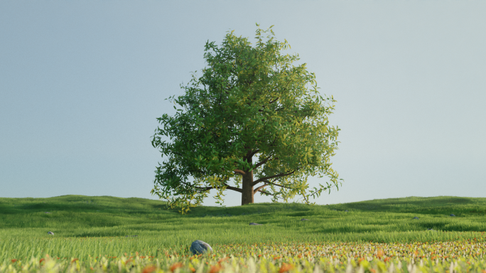4k生机勃勃大树生长环保延时摄影动画