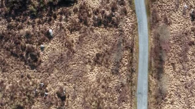苏格兰乡村的一条土路的无人机视图