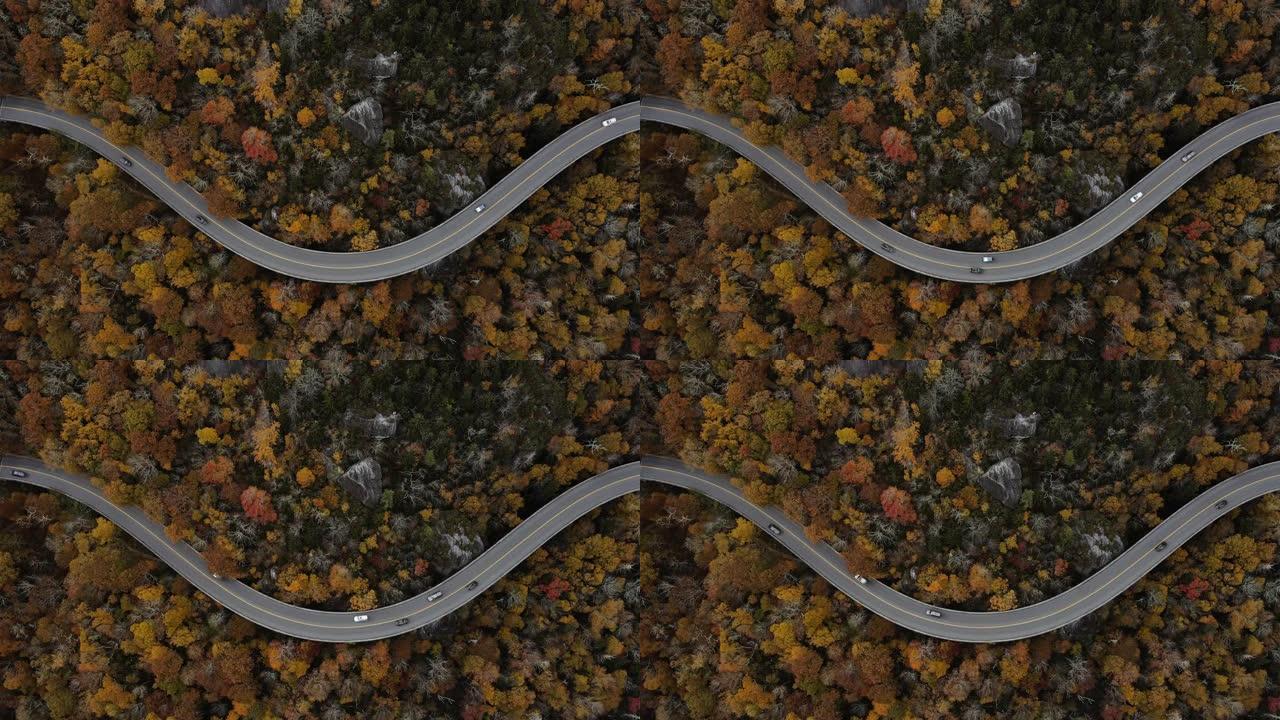 秋天蜿蜒山路的鸟瞰图