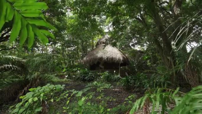 雨林中茅草屋顶的小屋