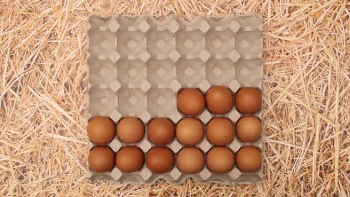 鸡蛋框出现在稻草主题上，鸡蛋出现在框中。停止运动