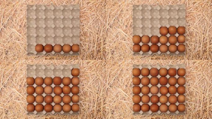 鸡蛋框出现在稻草主题上，鸡蛋出现在框中。停止运动