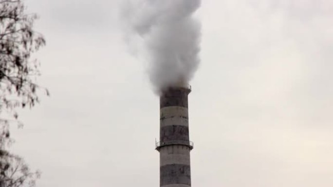 工业区的大管。锅炉房工作。浓浓的白烟倾泻在天空中。环境污染