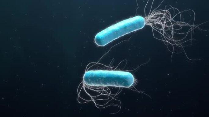 两种蓝色多重抗生素耐药铜绿假单胞菌-3d插图