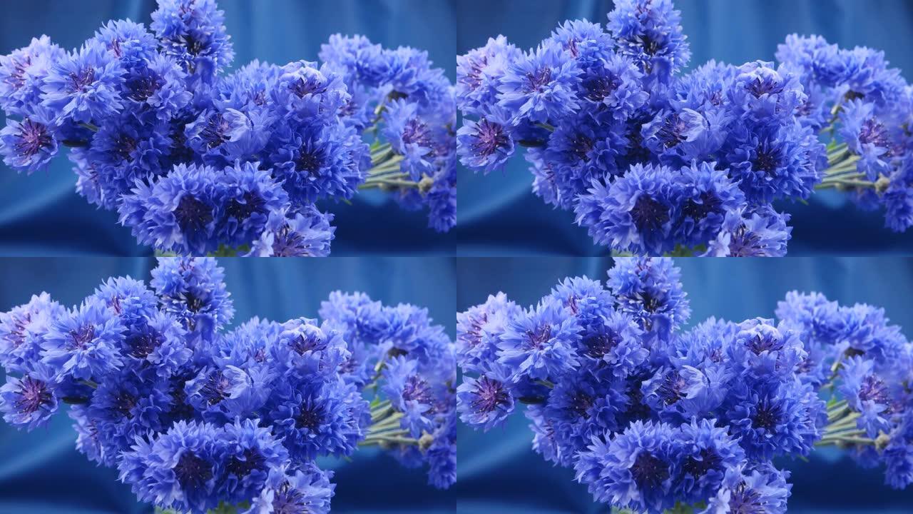 蓝色丝绸织物背景上的蓝色矢车菊花束