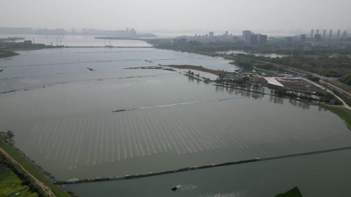 4K武汉航拍光谷秀湖生态湿地公园
