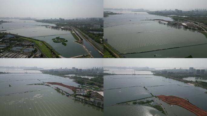 4K武汉航拍光谷秀湖生态湿地公园