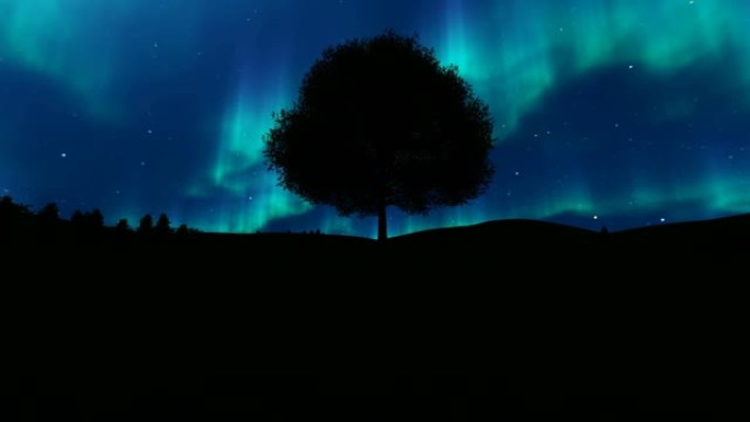 孤独的树和北极光的天空