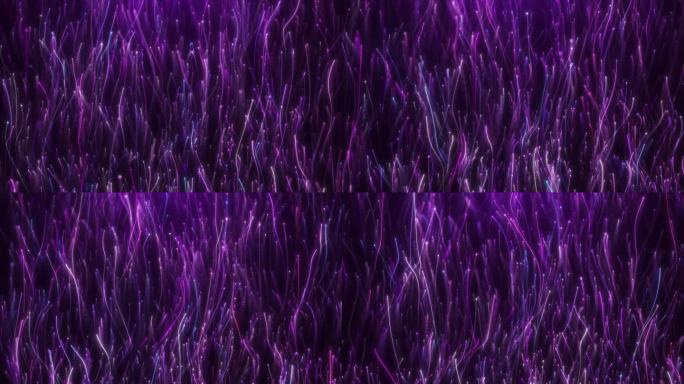 紫色粒子细丝游动特效