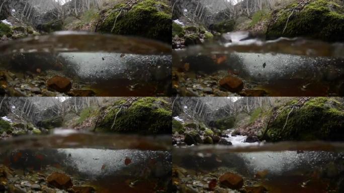 森林中河的分割照片