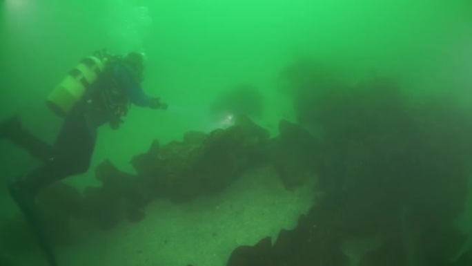 鄂霍次克海水下多刺帝王蟹。