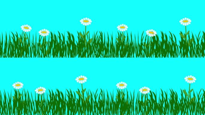 植物和花卉的卡通动画，蓝屏色键，平面设计
