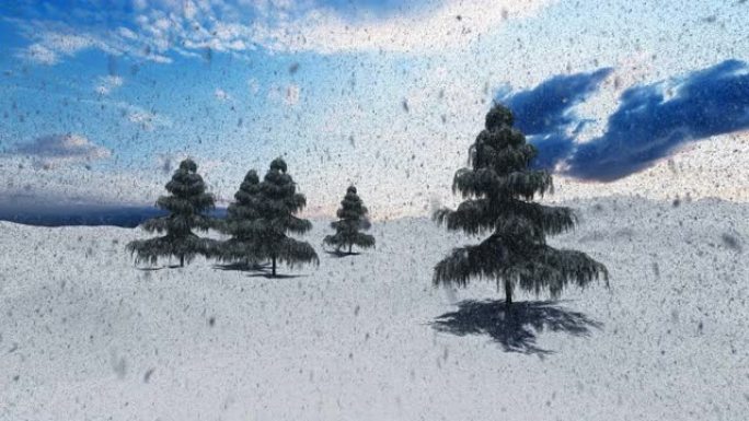 雪落在山上和松树上