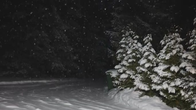 夜间院子外面的大雪