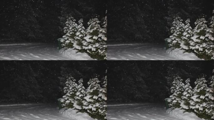 夜间院子外面的大雪