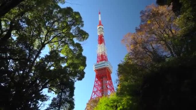 日本东京绿树顶的东京塔